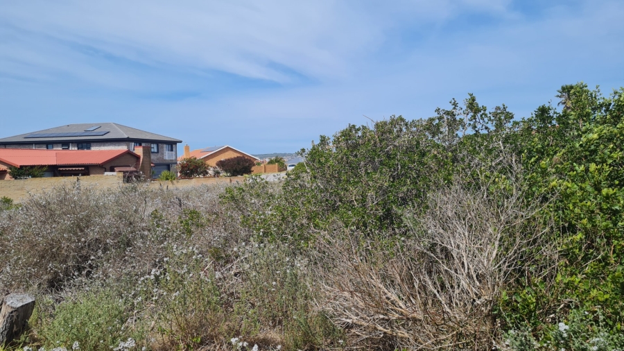 Commercial Property for Sale in Boggomsbaai Western Cape